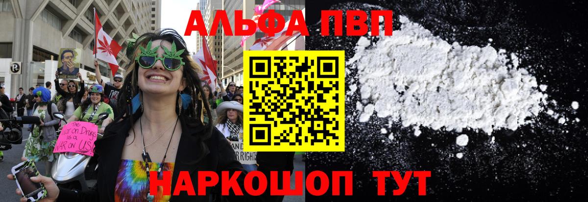 Alfa_PVP СК КРИС Новосибирск