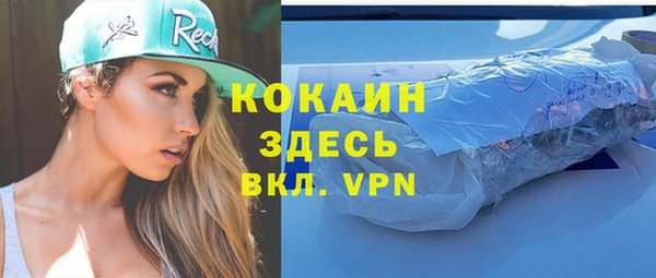 твердый Алексеевка