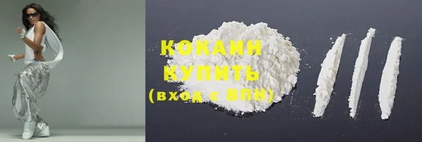 шишки Абинск