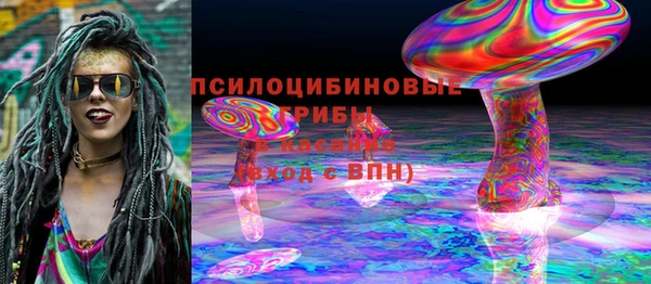индика Абдулино