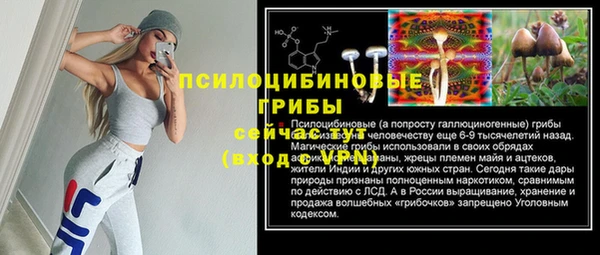 твердый Алексеевка