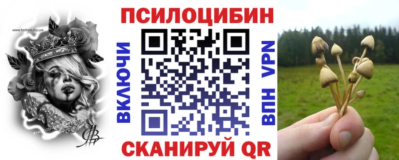 KRAKEN вход Новосибирск Галлюциногенные грибы GOLDEN TEACHER