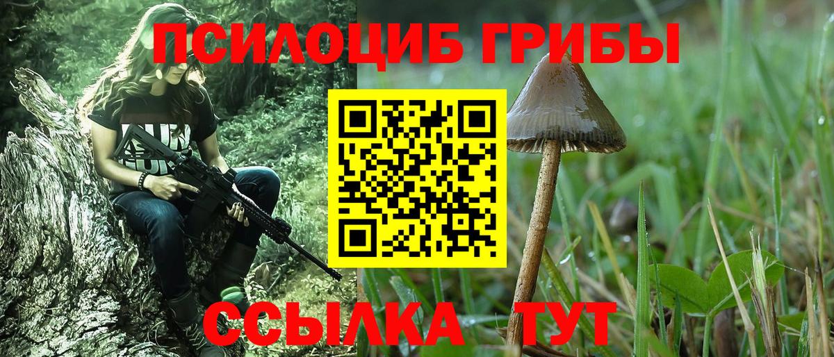 Галлюциногенные грибы прущие грибы Новосибирск